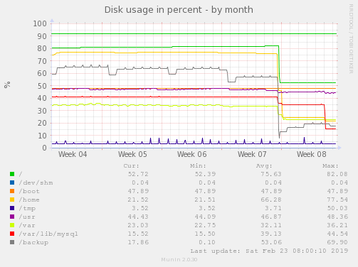 Disk usage in percent